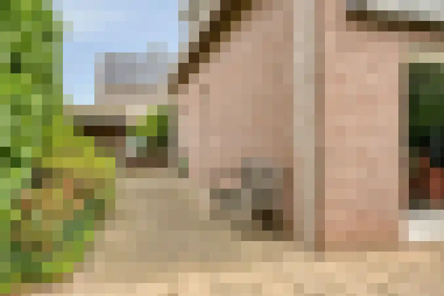Koekoekstraat 1 Hedel thumbnail 50