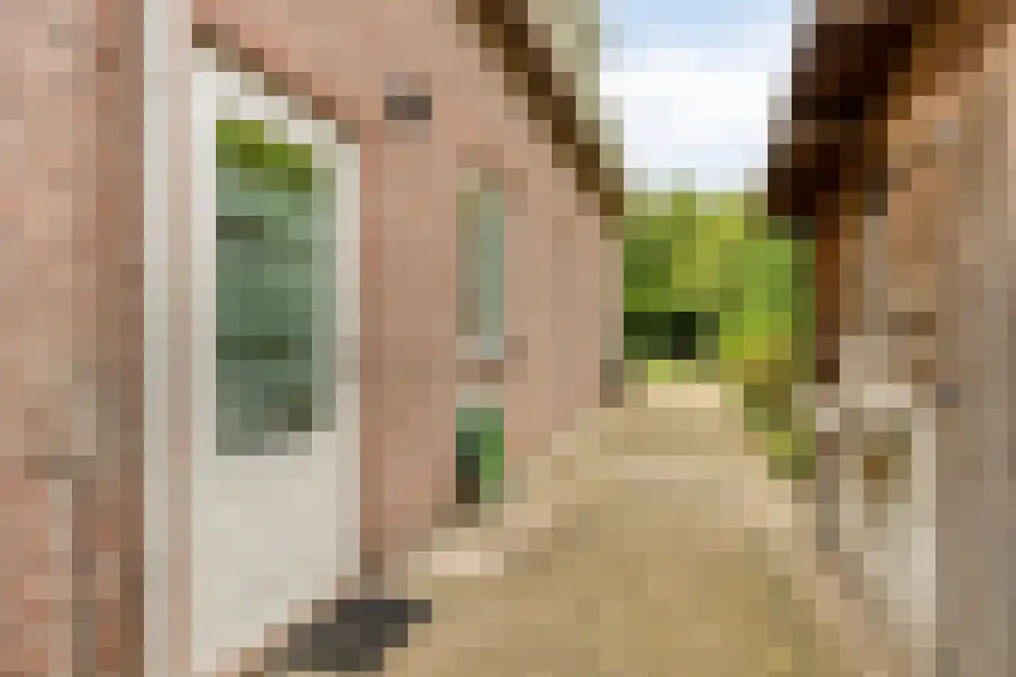 Koekoekstraat 1 Hedel thumbnail 51