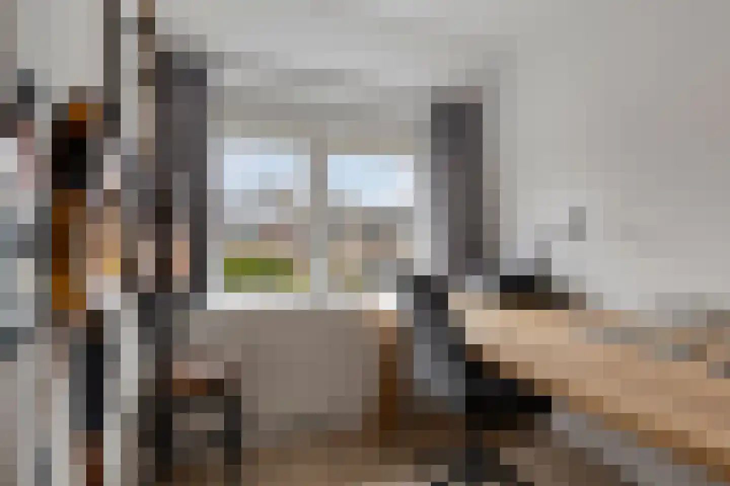 Koekoekstraat 1 Zaltbommel thumbnail 33