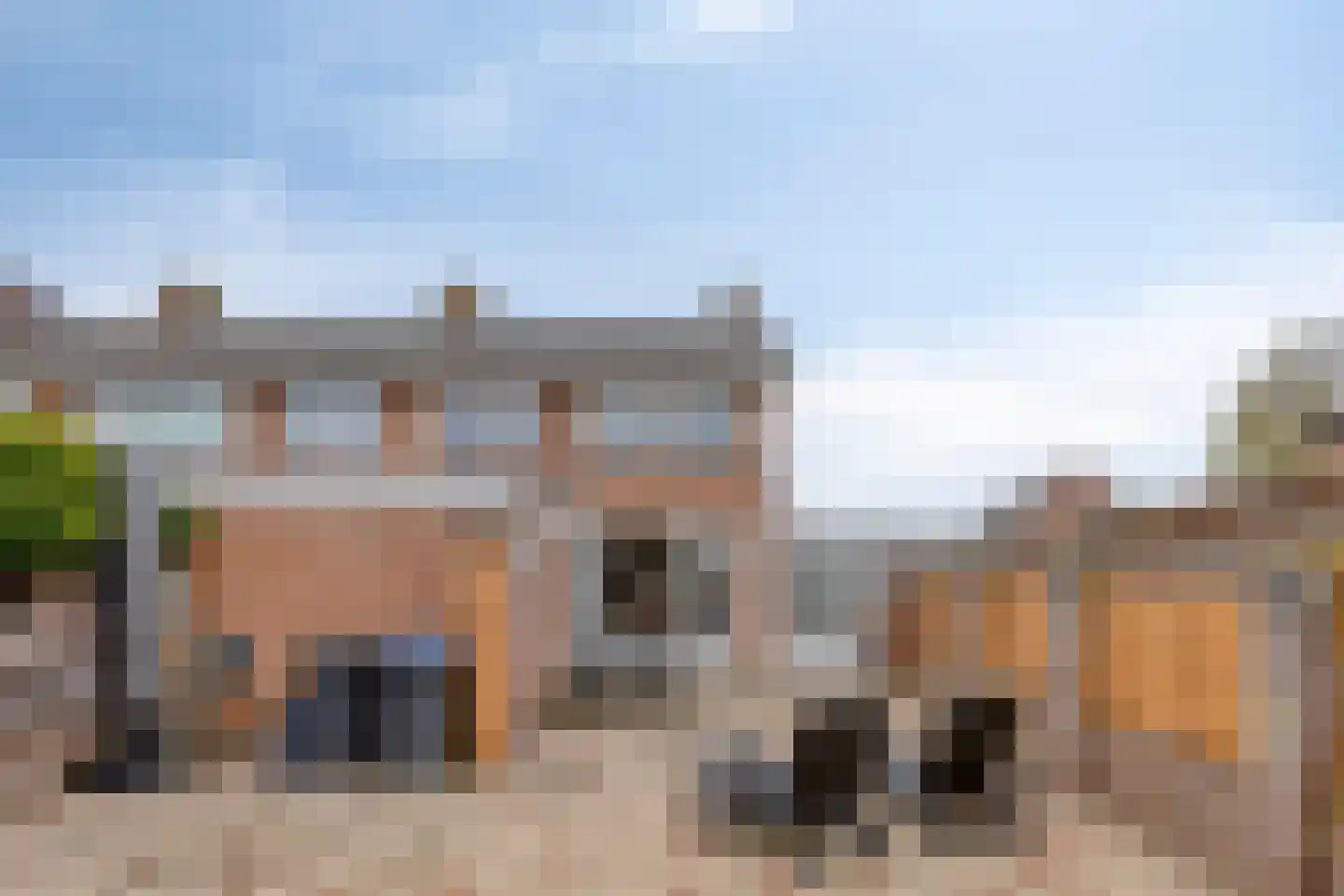 Koekoekstraat 1 Zaltbommel thumbnail 37