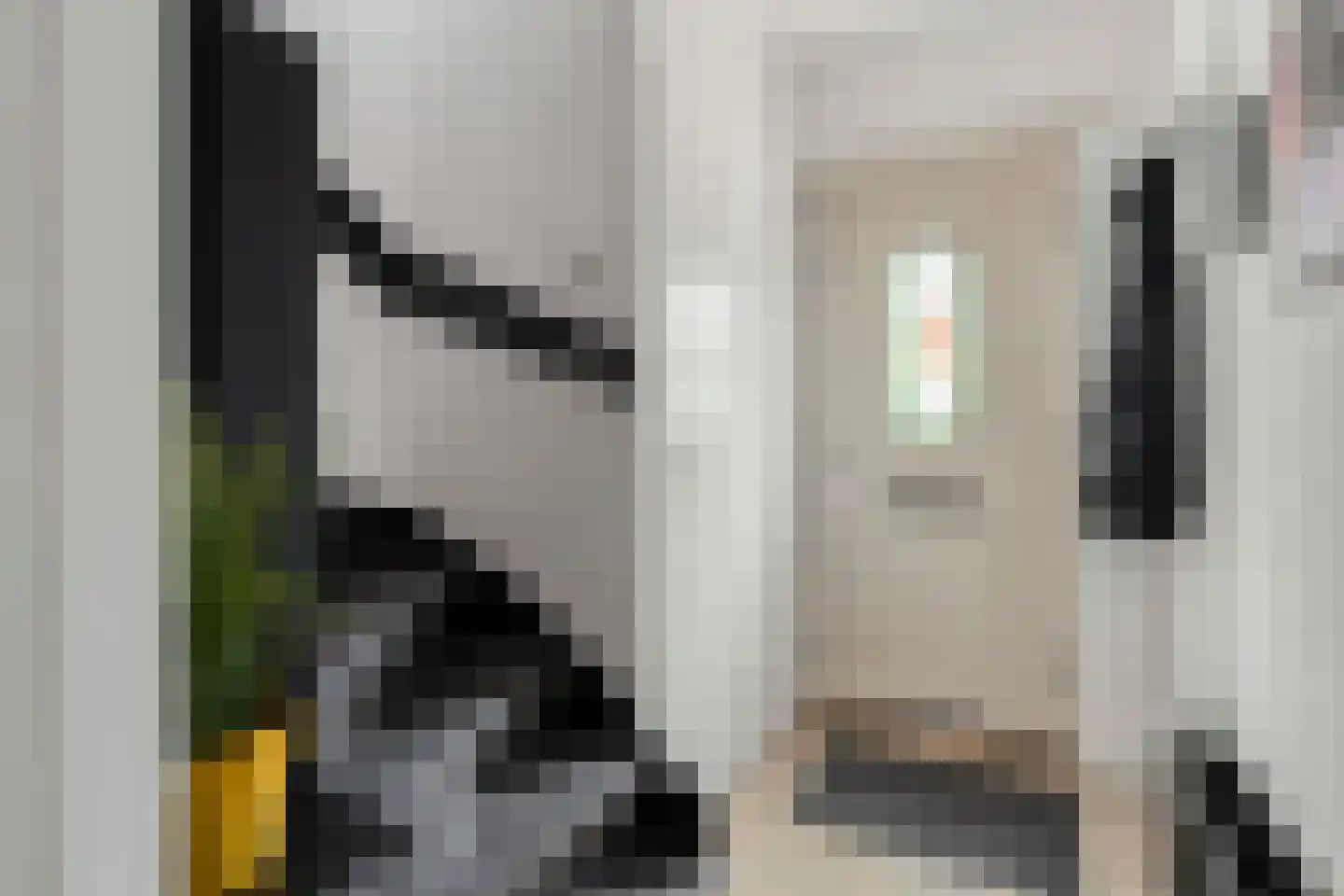 Koekoekstraat 1 Zaltbommel thumbnail 6
