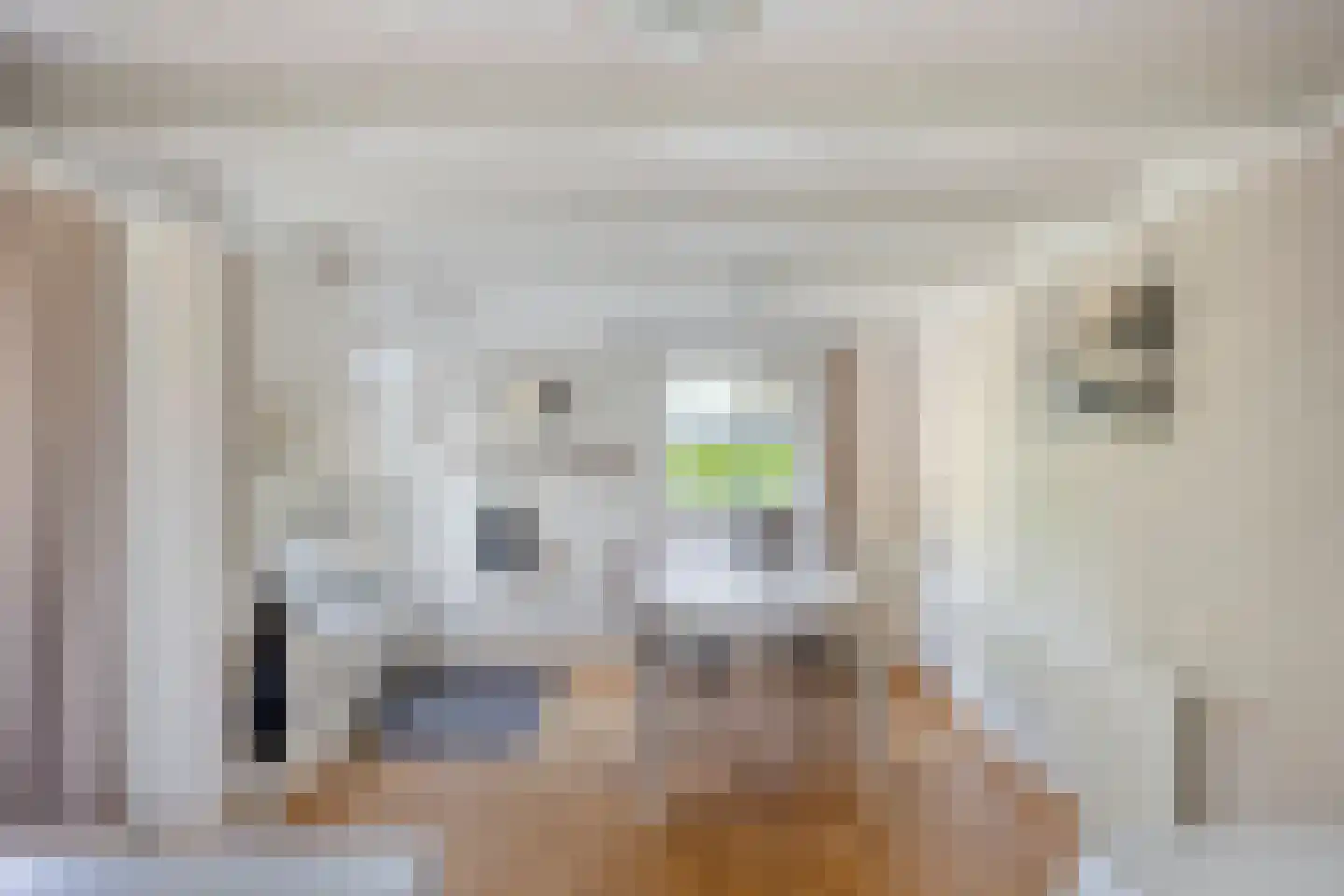 Koekoekstraat 11 Krimpen aan den IJssel thumbnail 12