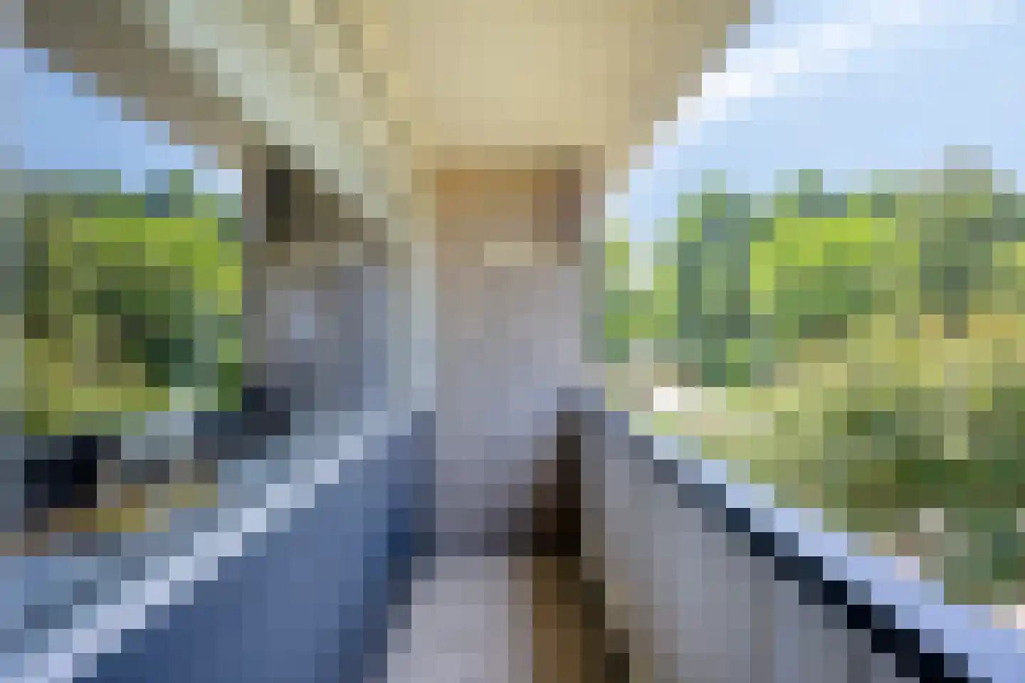 Koekoekstraat 11 Krimpen aan den IJssel thumbnail 22