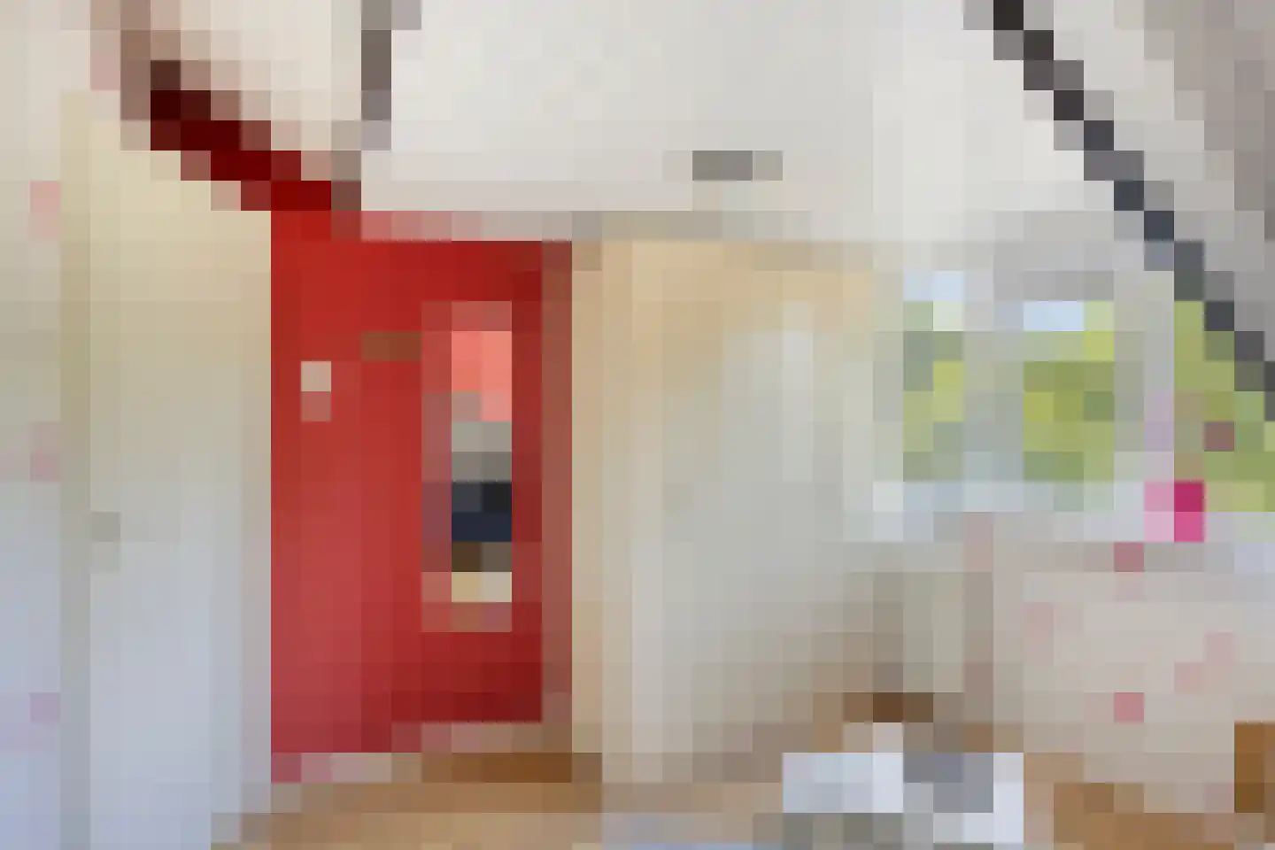 Koekoekstraat 11 Krimpen aan den IJssel thumbnail 30