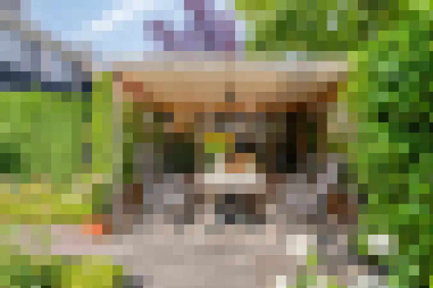 Koekoekstraat 11 Krimpen aan den IJssel thumbnail 37