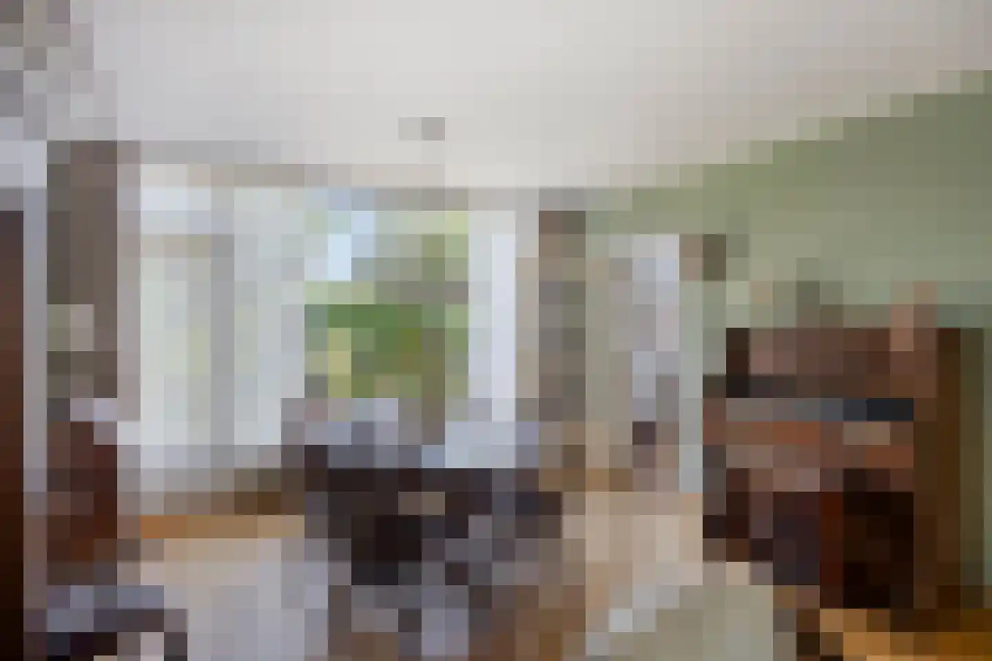 Koekoekstraat 11 Krimpen aan den IJssel thumbnail 6