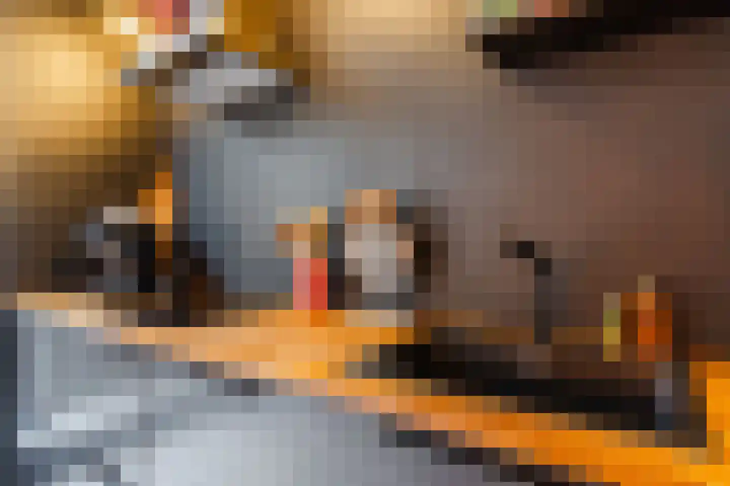 Koekoekstraat 12 Breda thumbnail 11