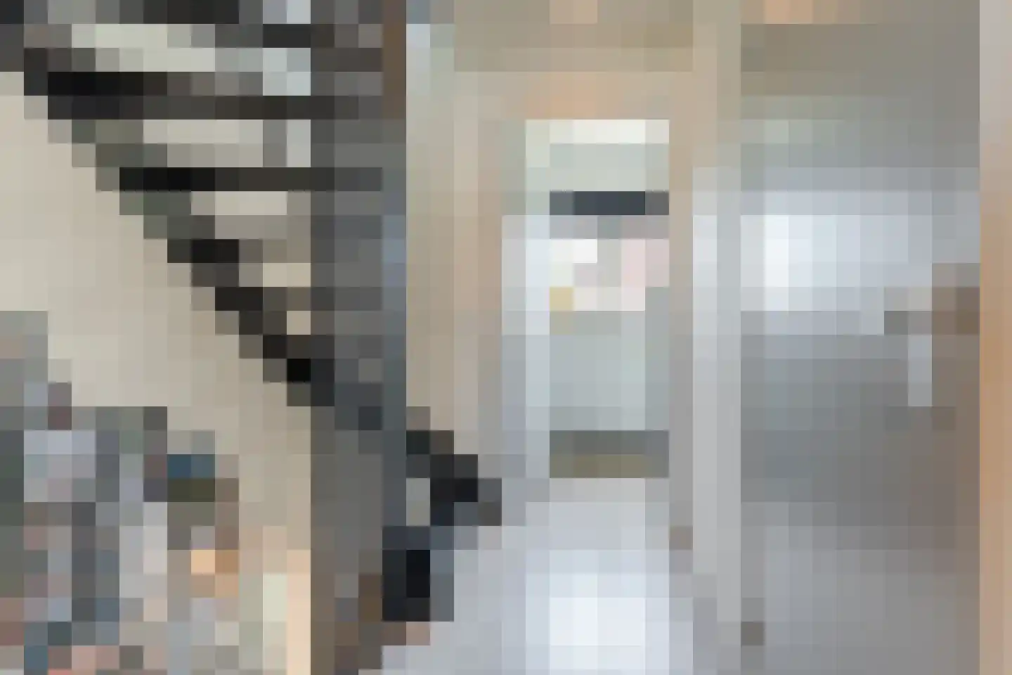 Koekoekstraat 12 Breda thumbnail 15