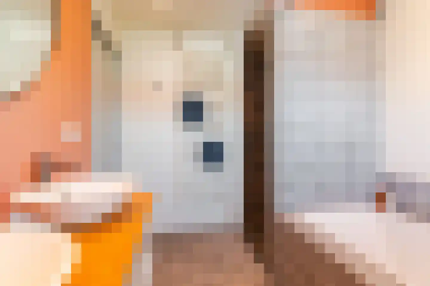 Koekoekstraat 12 Breda thumbnail 21