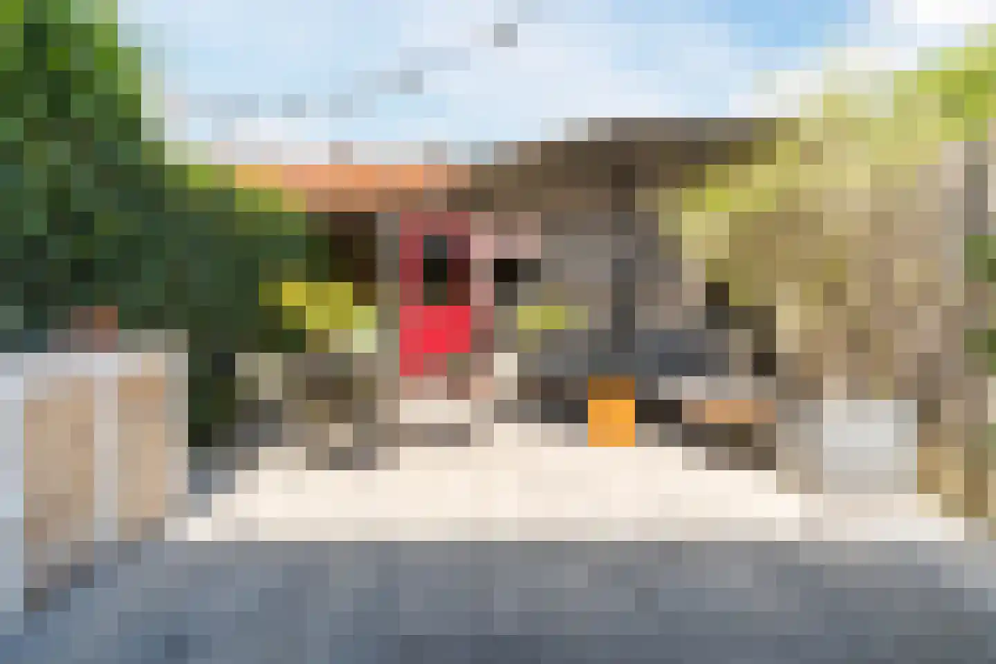 Koekoekstraat 12 Breda thumbnail 29