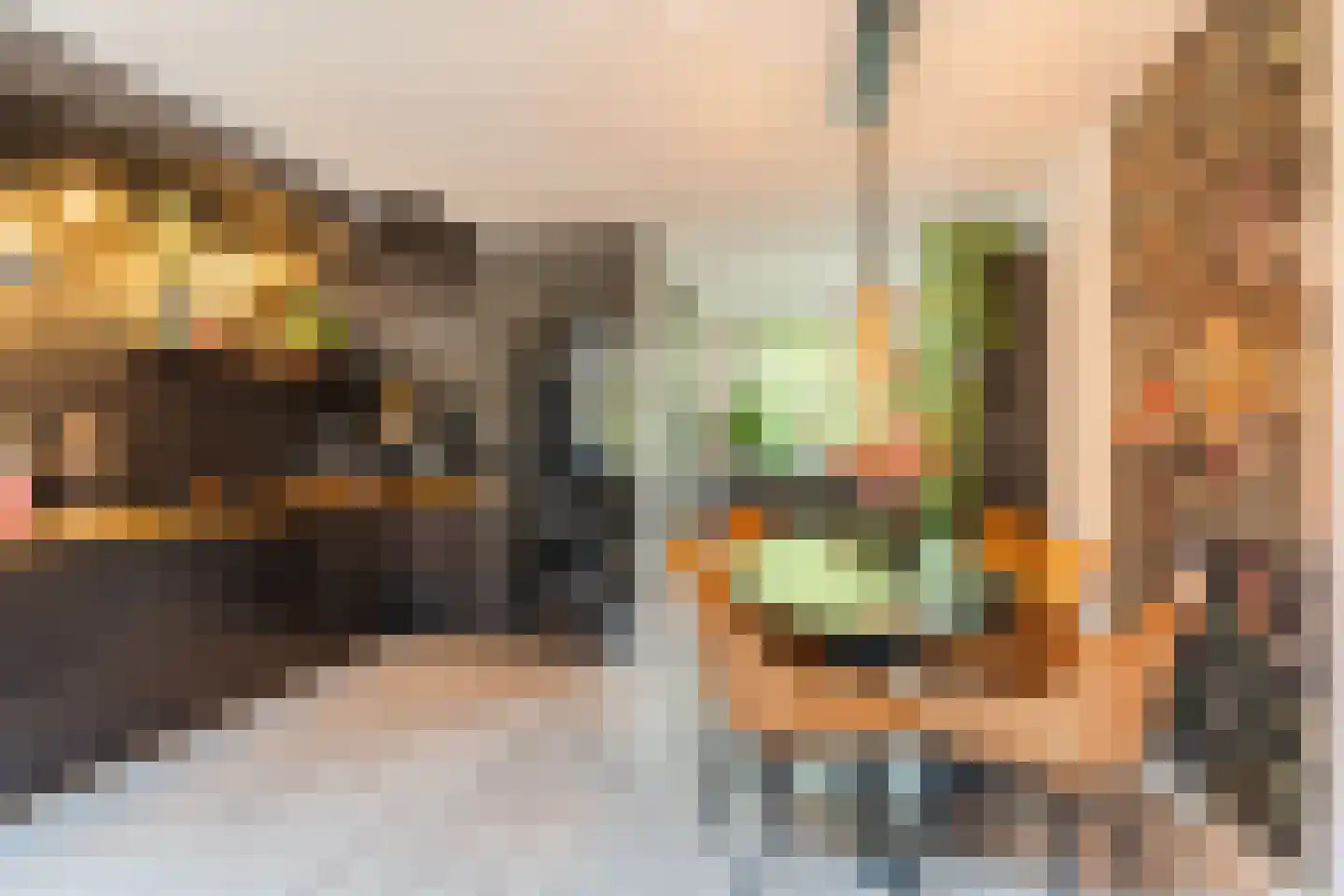 Koekoekstraat 12 Breda thumbnail 8