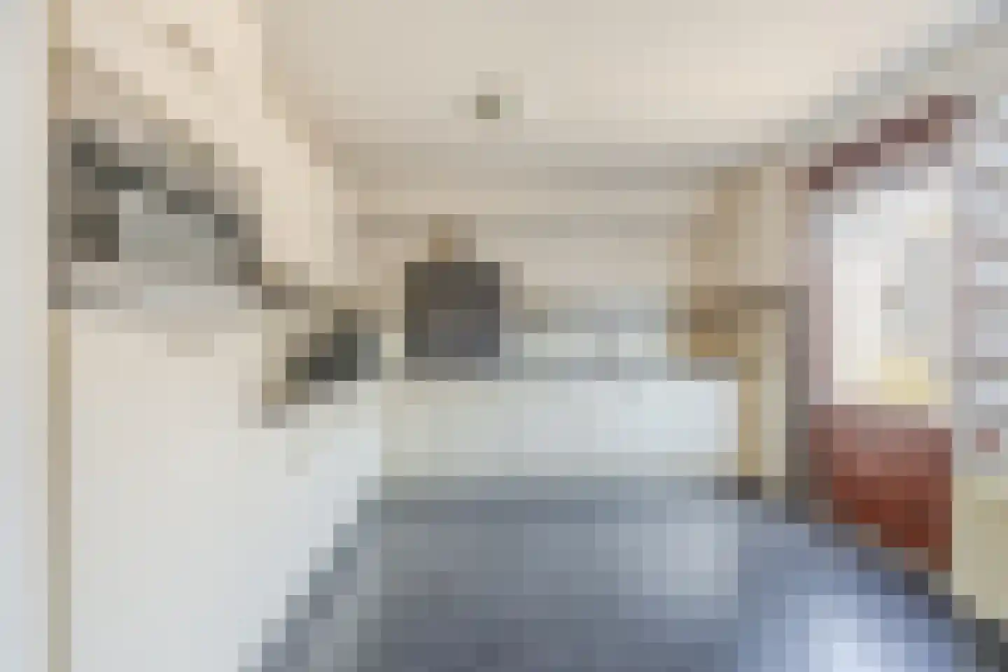Koekoekstraat 12 Hedel thumbnail 14