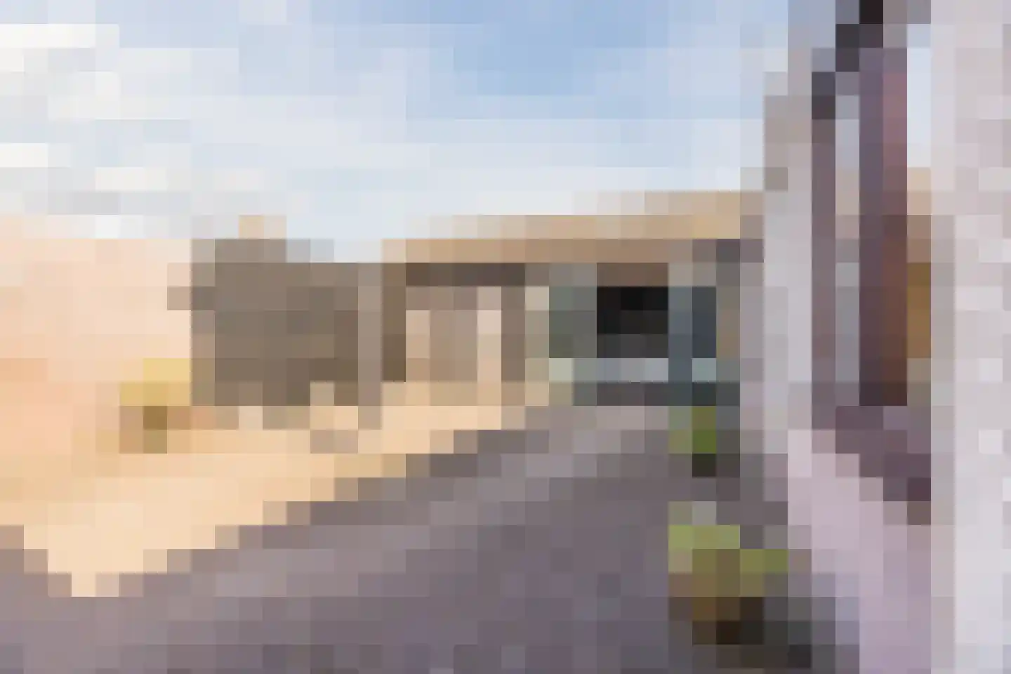 Koekoekstraat 12 Hedel thumbnail 29