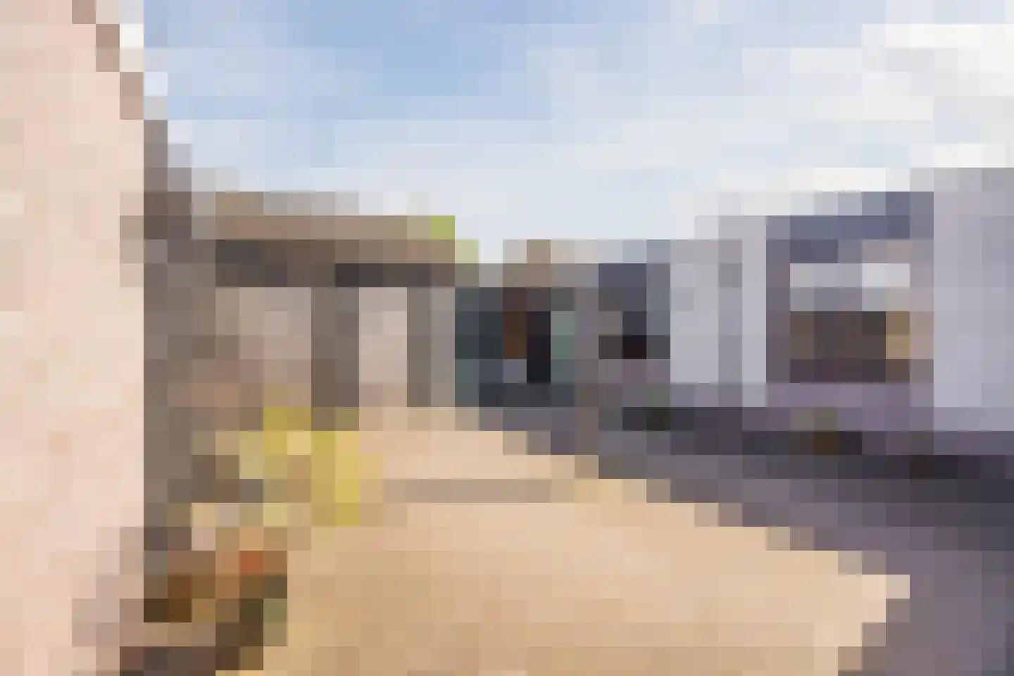 Koekoekstraat 12 Hedel thumbnail 31