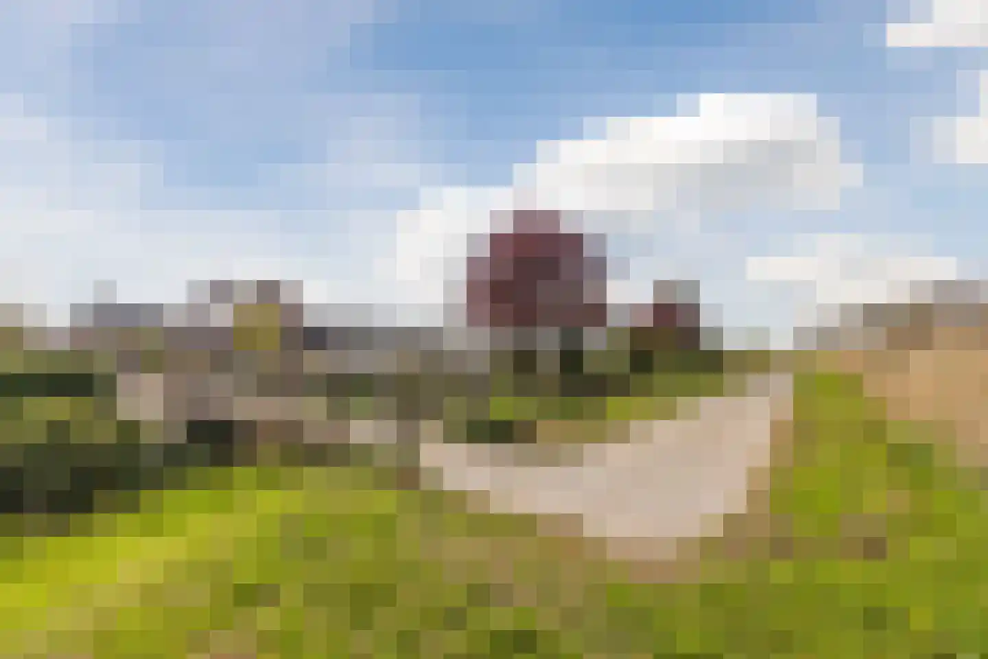 Koekoekstraat 12 Hedel thumbnail 37