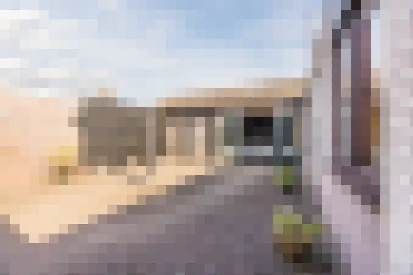 Koekoekstraat 12 Hedel thumbnail 5