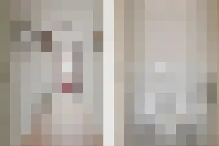 Koekoekstraat 14 Assen thumbnail 10