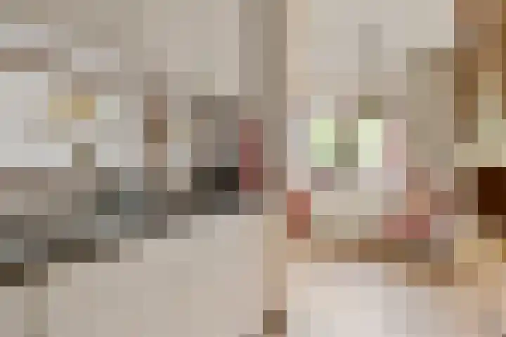 Koekoekstraat 14 Assen thumbnail 12
