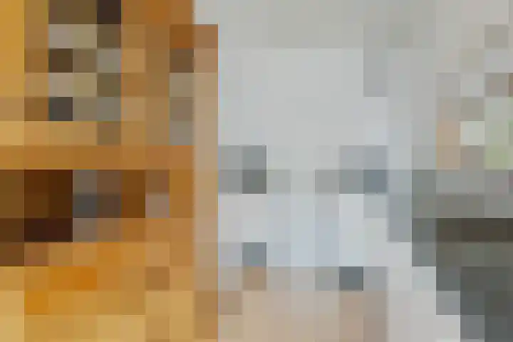 Koekoekstraat 14 Assen thumbnail 13
