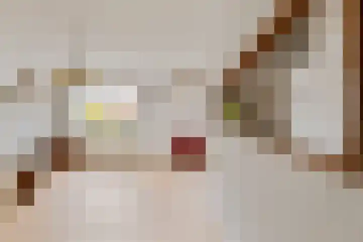 Koekoekstraat 14 Assen thumbnail 14