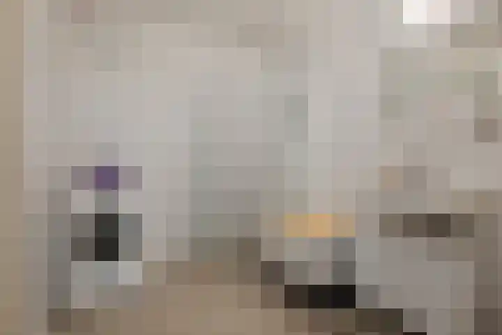 Koekoekstraat 14 Assen thumbnail 23
