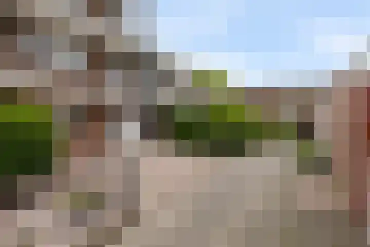 Koekoekstraat 14 Assen thumbnail 26