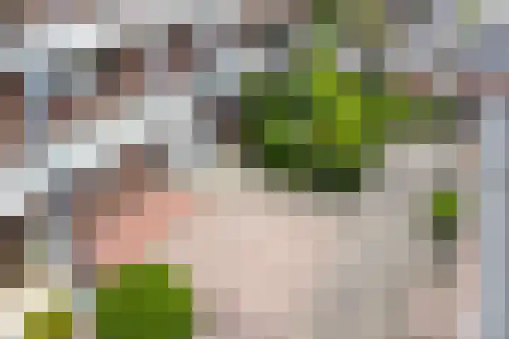 Koekoekstraat 14 Assen thumbnail 27