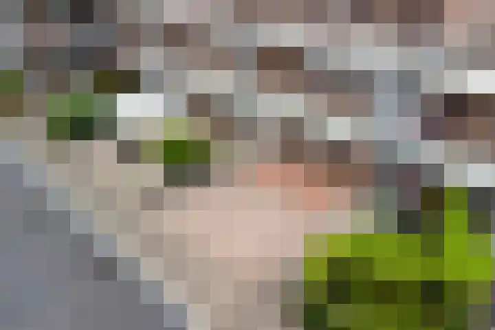 Koekoekstraat 14 Assen thumbnail 28