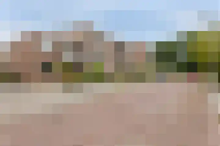 Koekoekstraat 14 Assen thumbnail 31