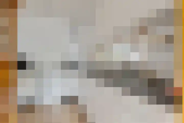 Koekoekstraat 14 Assen thumbnail 4