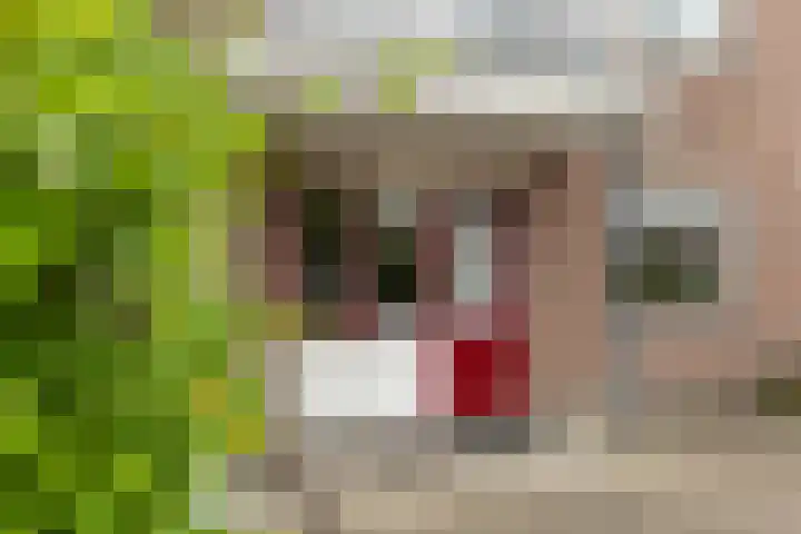 Koekoekstraat 14 Assen thumbnail 6
