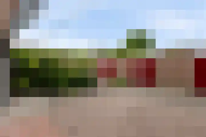 Koekoekstraat 14 Assen thumbnail 8