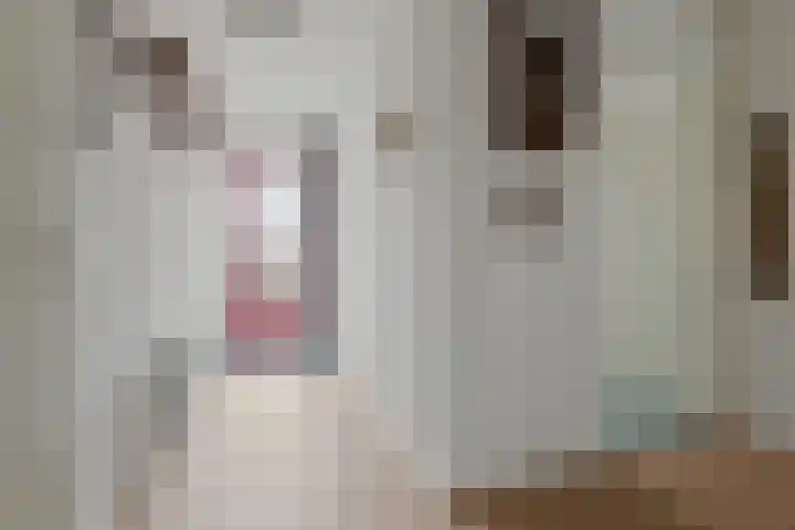 Koekoekstraat 14 Assen thumbnail 9