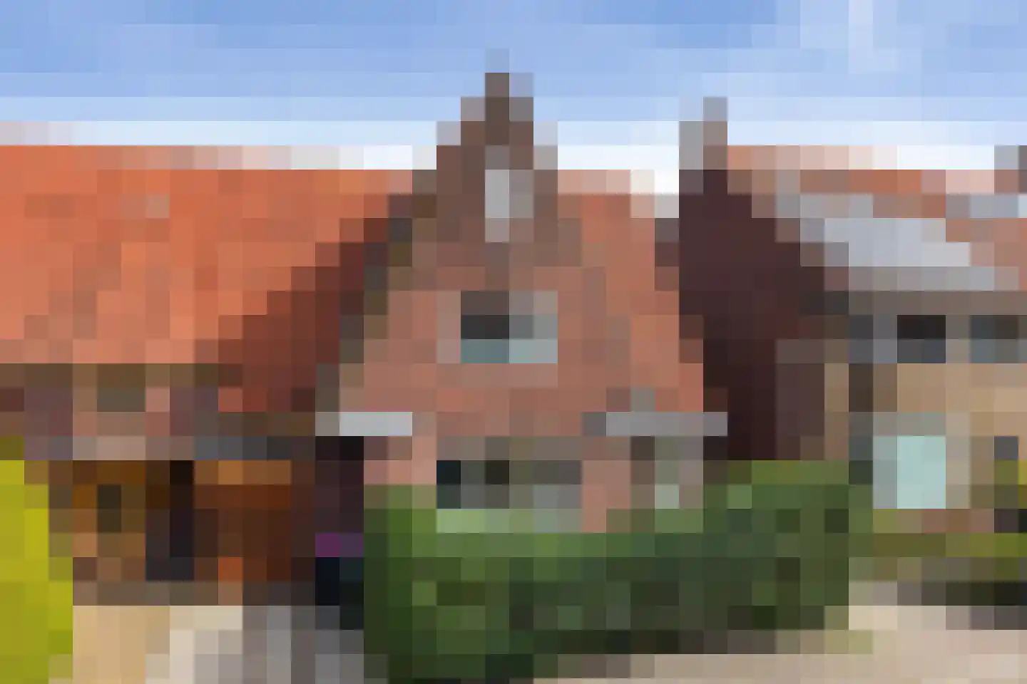 Koekoekstraat 14 Leeuwarden thumbnail 42