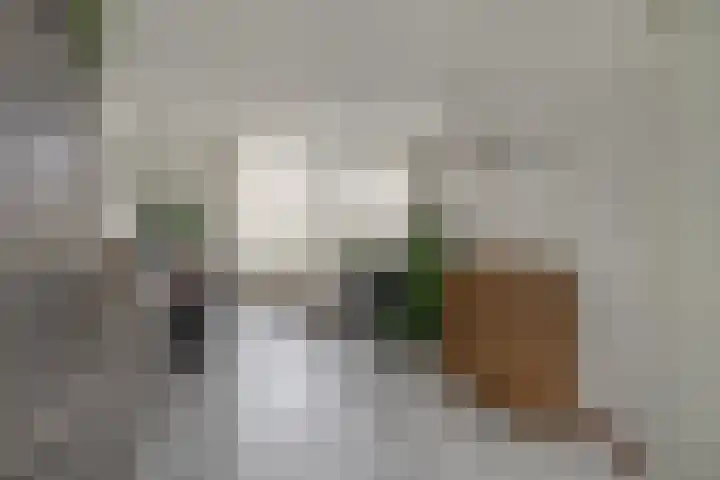 Koekoekstraat 16 Hedel thumbnail 10
