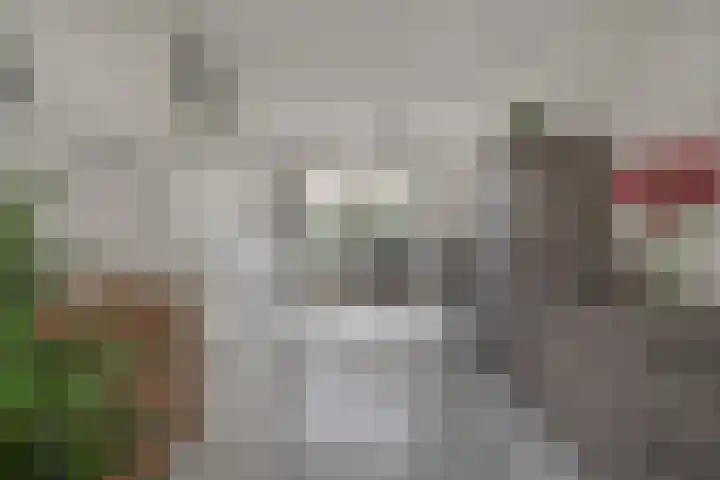 Koekoekstraat 16 Hedel thumbnail 11