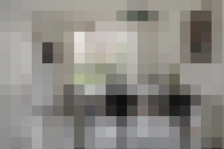 Koekoekstraat 16 Hedel thumbnail 13