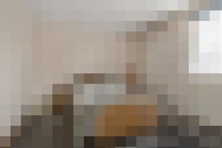 Koekoekstraat 16 Hedel thumbnail 16