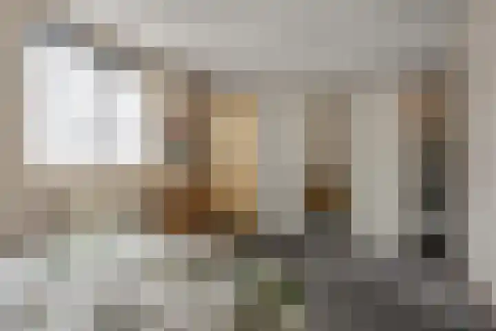 Koekoekstraat 16 Hedel thumbnail 17
