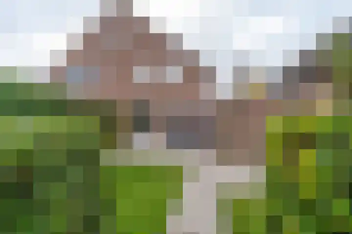 Koekoekstraat 16 Hedel thumbnail 24