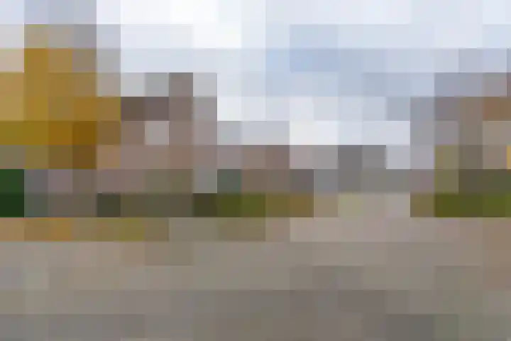 Koekoekstraat 16 Hedel thumbnail 28