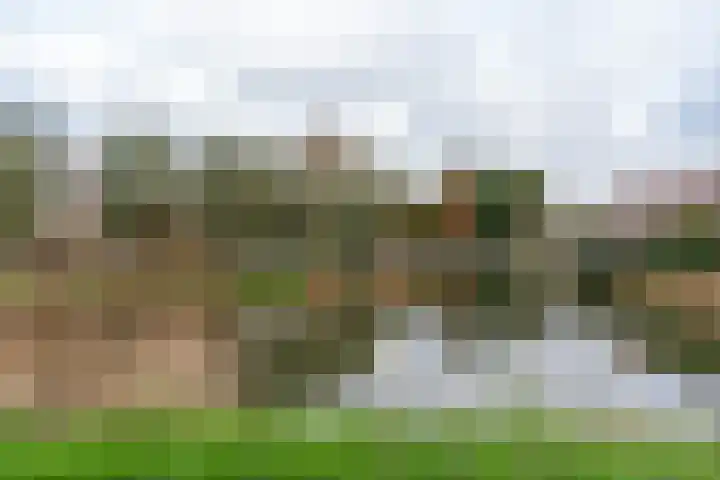 Koekoekstraat 16 Hedel thumbnail 30