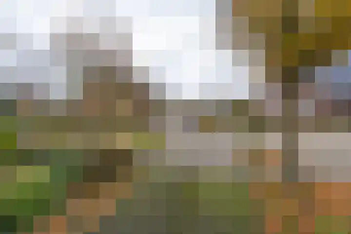 Koekoekstraat 16 Hedel thumbnail 31
