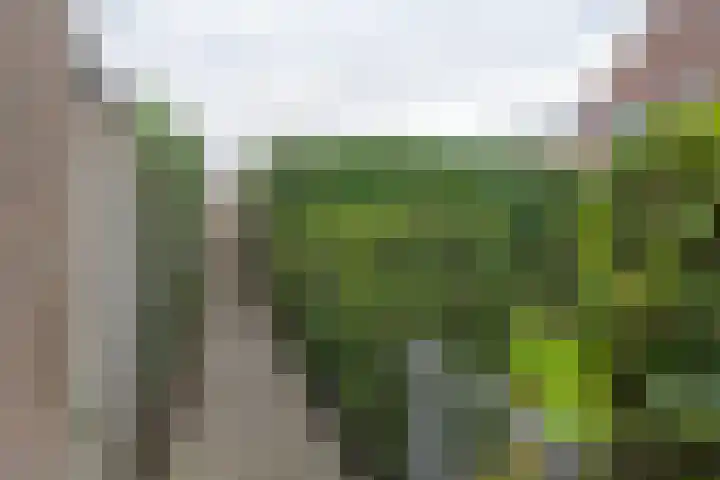 Koekoekstraat 16 Hedel thumbnail 32