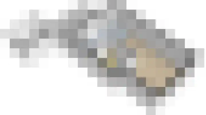 Koekoekstraat 16 Hedel thumbnail 36