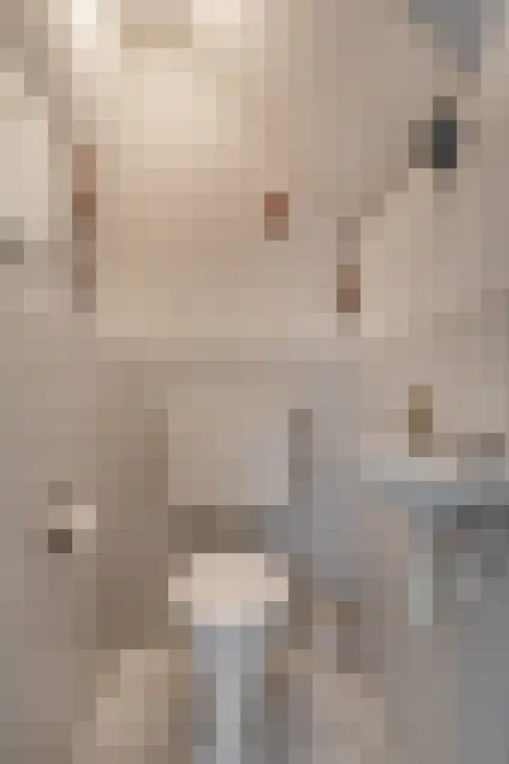 Koekoekstraat 16 Hedel thumbnail 7