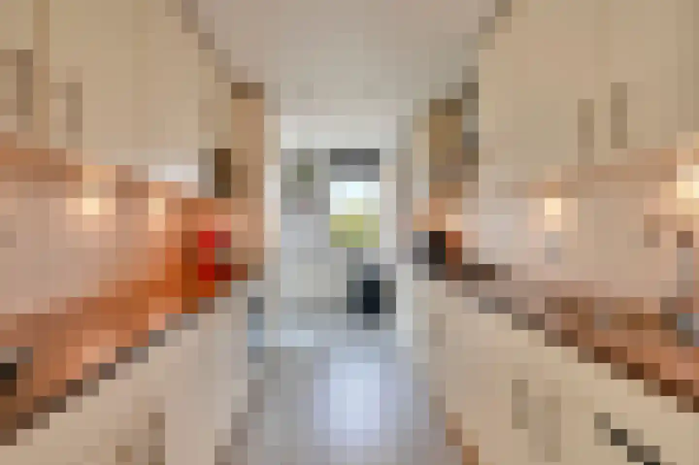 Koekoekstraat 16 Maassluis thumbnail 10