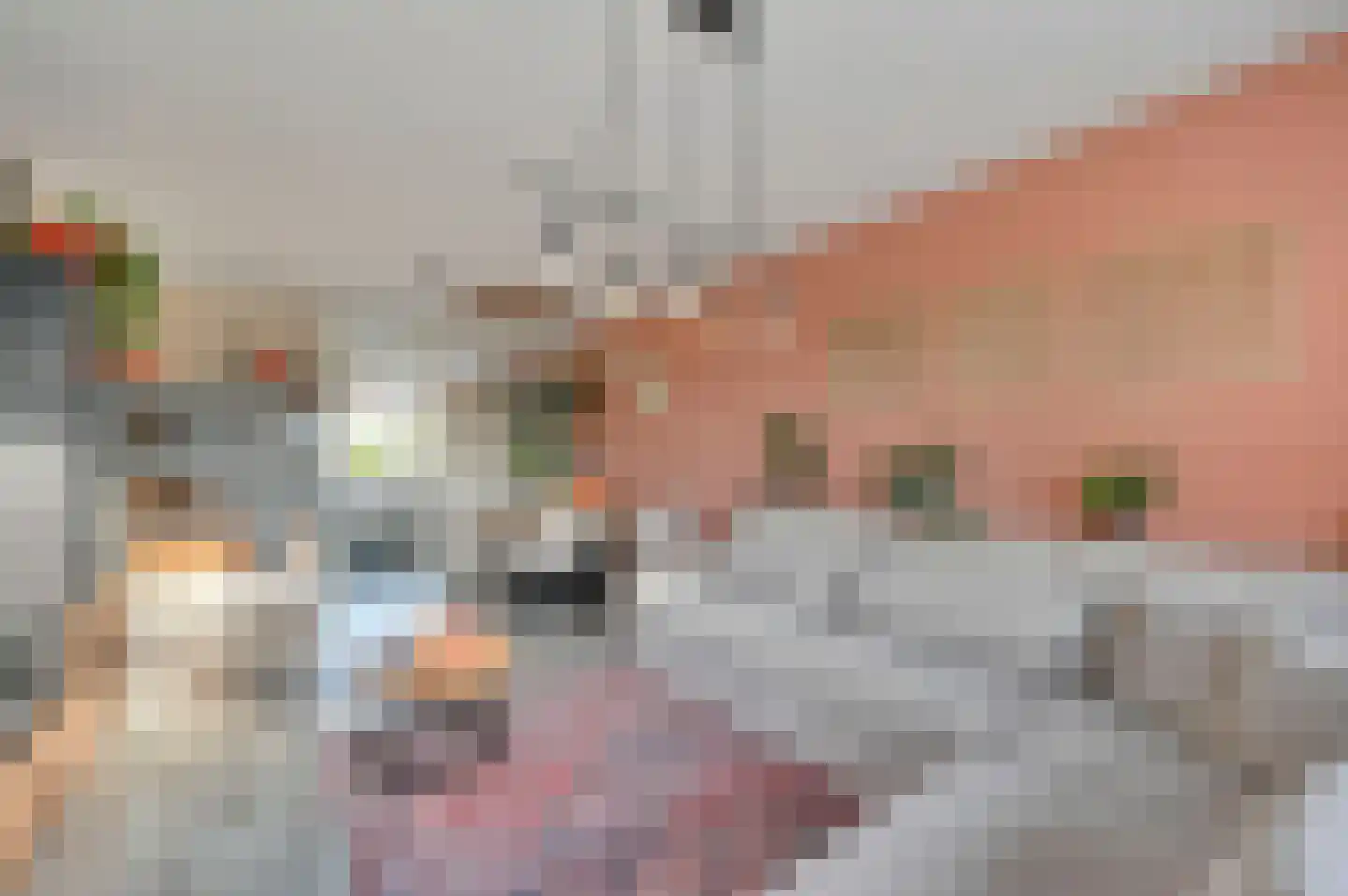 Koekoekstraat 16 Maassluis thumbnail 5