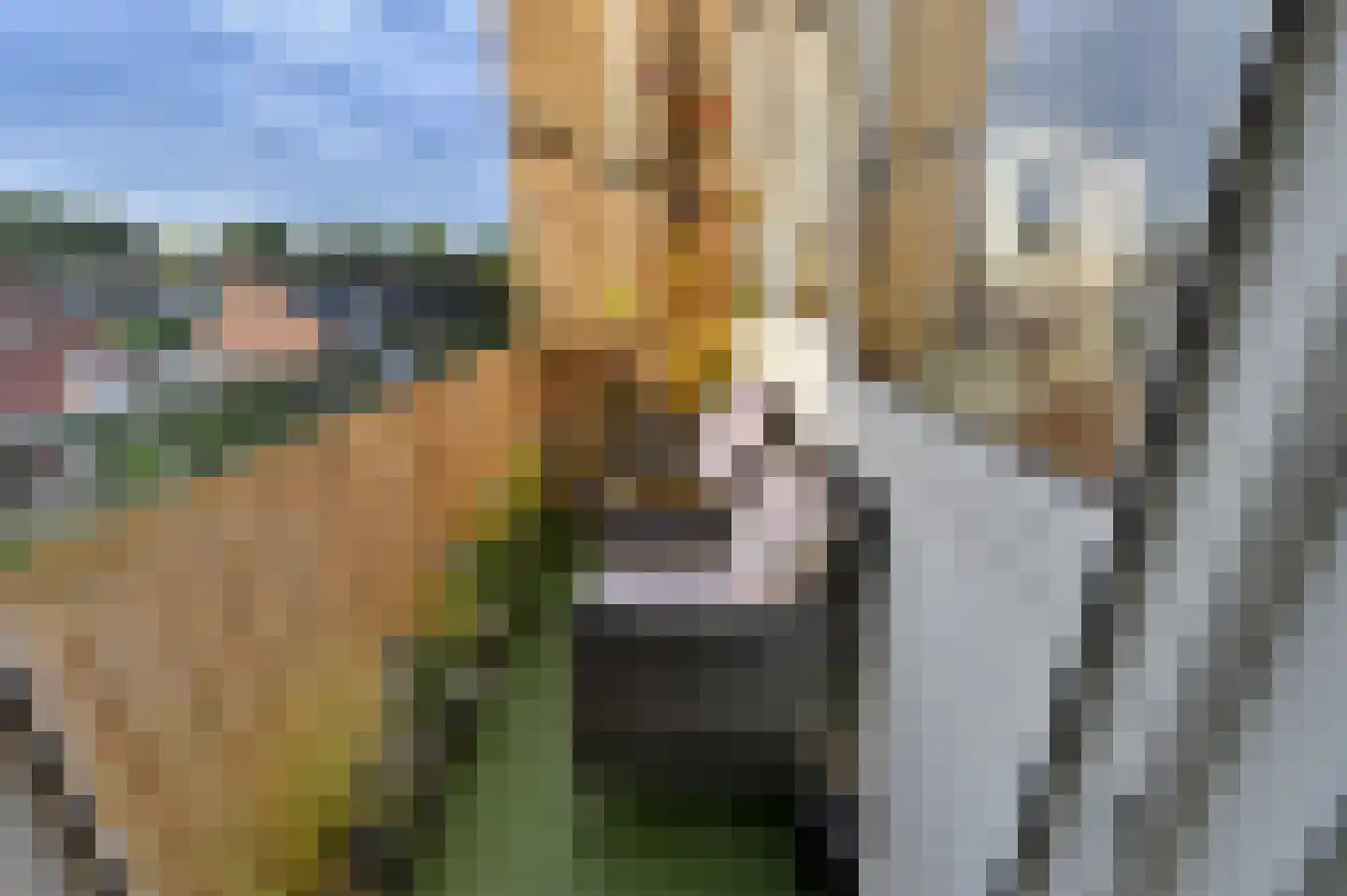 Koekoekstraat 16 Maassluis thumbnail 8