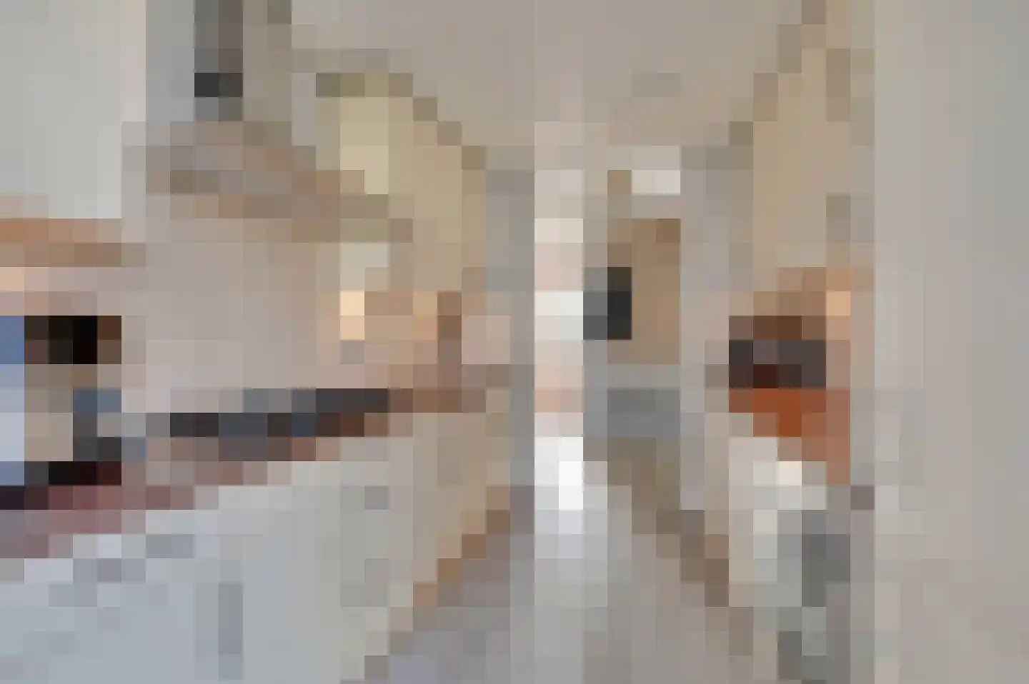 Koekoekstraat 16 Maassluis thumbnail 9